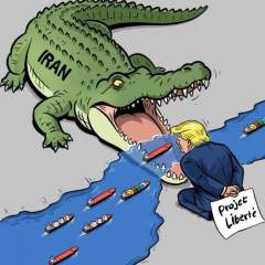 L'actu en dessin : dans le détroit d'Ormuz, le crocodile iranien fait plier le "Projet liberté"