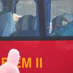 Hantavirus : une prise en charge à géométrie variable entre l'Europe et les États-Unis