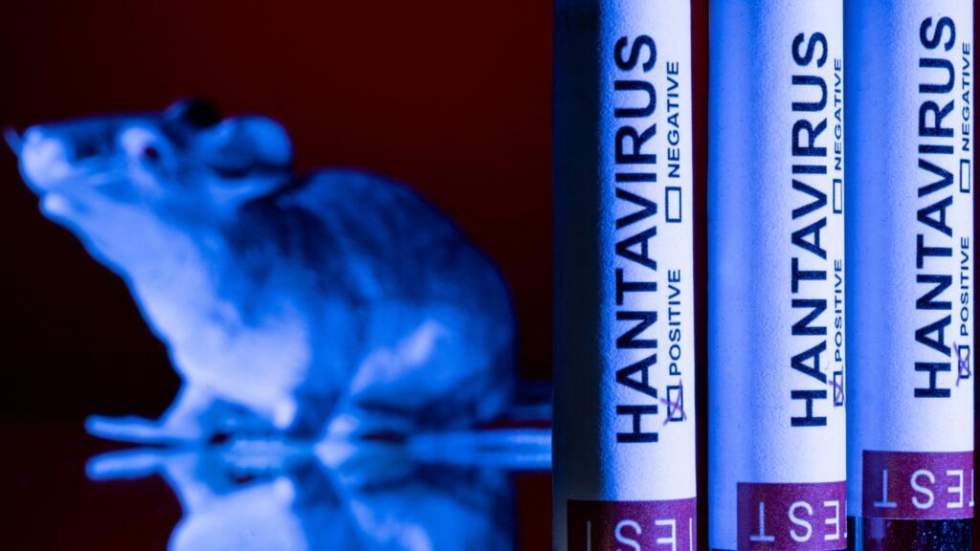 "Des raisons de ne pas être trop inquiet" : ce que l'on sait sur l'hantavirus Andes
