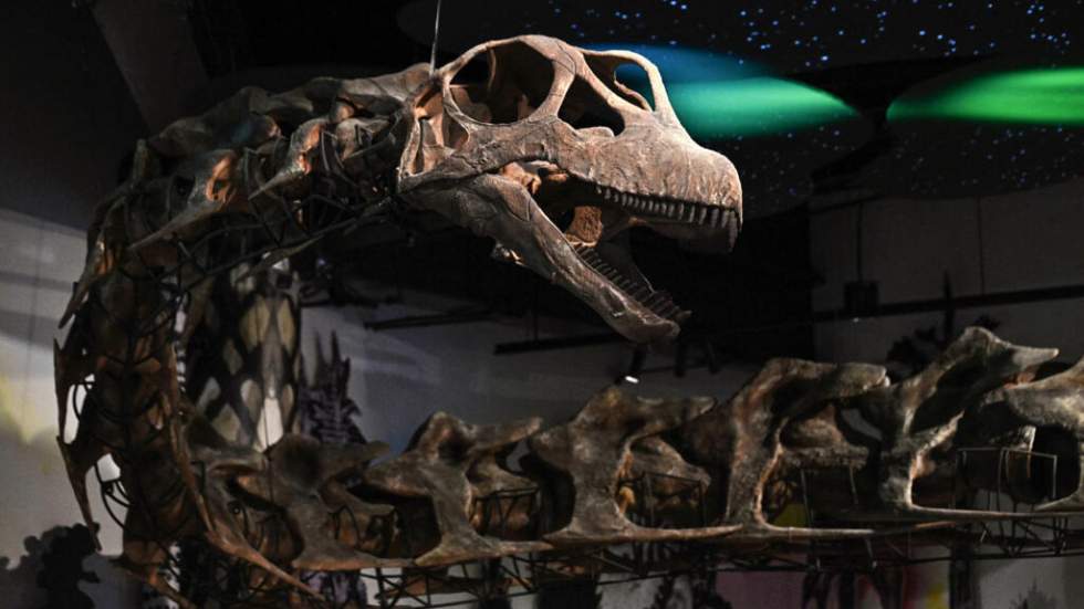 Un dinosaure gigantesque de 27 mètres et 27 tonnes identifié en Thaïlande