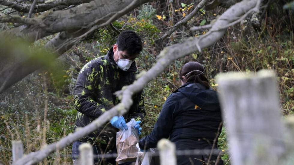 Hantavirus : la mission à Ushuaïa a capturé environ 150 rongeurs qui feront l'objet analyses