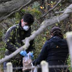 Hantavirus : la mission à Ushuaïa a capturé environ 150 rongeurs qui feront l'objet analyses