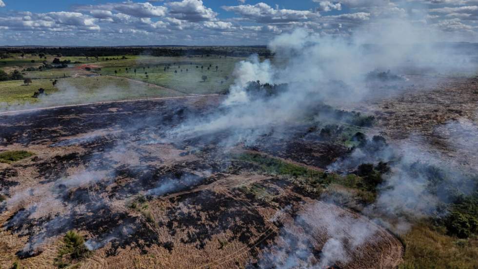 Brésil : la déforestation baisse et atteint son plus bas niveau depuis 2019