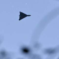 Un drone russe s'écrase sur un immeuble en Roumanie, membre de l'Otan, et fait deux blessés légers