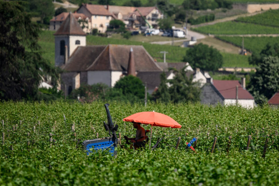 Canicule : des records mensuels de chaleur sur plus de la moitié de la France Canicule : des records mensuels de chaleur sur plus de la moitié de la France