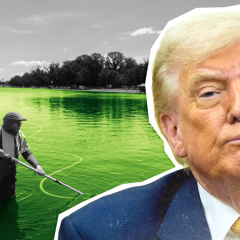 Comment Donald Trump s’est pris les pieds dans le bassin réfléchissant de Washington