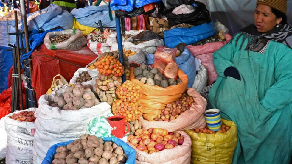 En Bolivie, les barrages routiers progressivement levés après sept semaines de crise