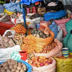 En Bolivie, les barrages routiers progressivement levés après sept semaines de crise