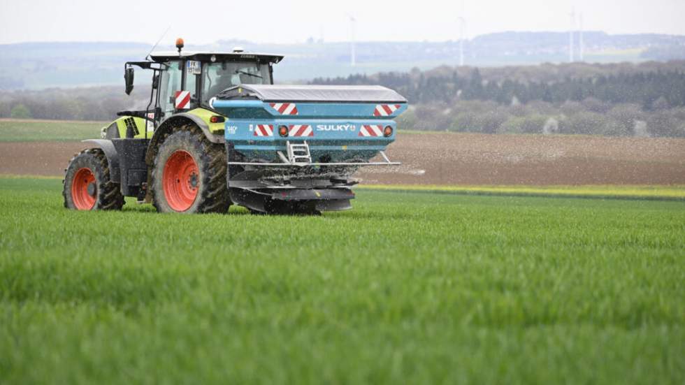 Le Sénat vote pour la réintroduction de pesticides interdits, dont l'acétamipride
