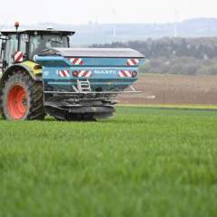 Le Sénat vote pour la réintroduction de pesticides interdits, dont l'acétamipride