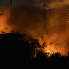 Le sud de la France frappé par un important incendie