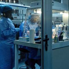 Ebola a fait plus de 400 morts en RD Congo, l'OMS annonce le lancement d'un essai clinique