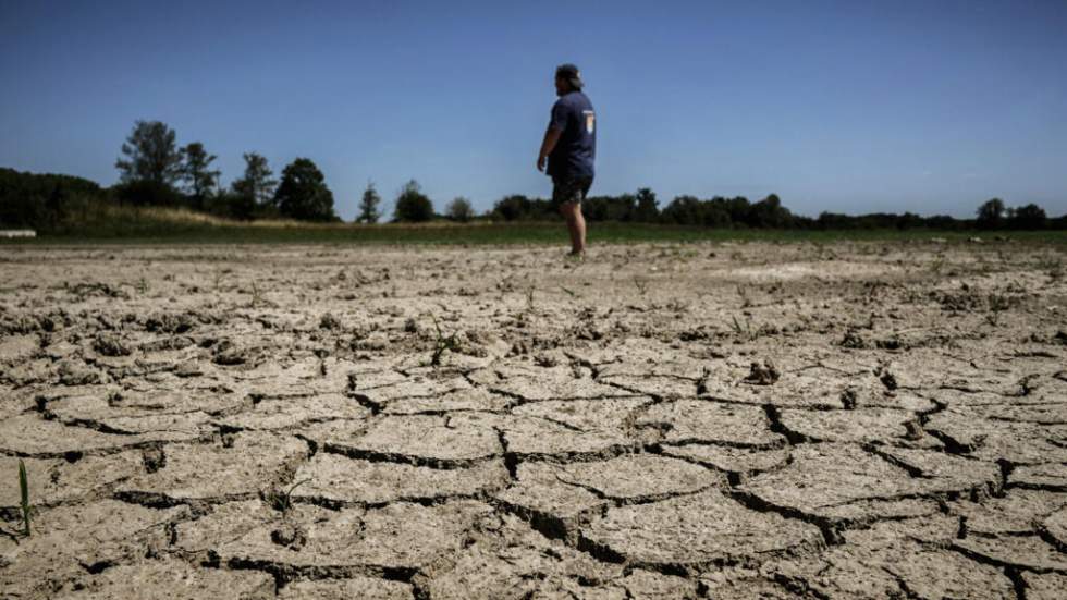 Après les canicules et malgré l'hiver pluvieux, la sécheresse s'installe en France Après les canicules et malgré l'hiver pluvieux, la sécheresse s'installe en France