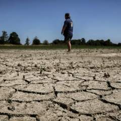 Après les canicules et malgré l'hiver pluvieux, la sécheresse s'installe en France