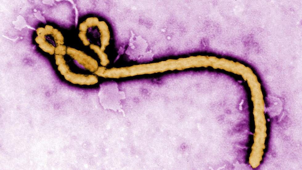Virus Ebola : le premier cas identifié en France est "guéri"