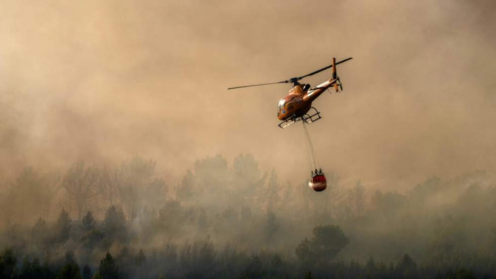 Nouvel incendie dans les Pyrénées-Orientales, près de 1 000 hectares parcourus Nouvel incendie dans les Pyrénées-Orientales, près de 1 000 hectares parcourus