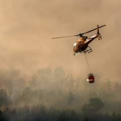 Nouvel incendie dans les Pyrénées-Orientales, près de 1 000 hectares parcourus