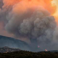 L'incendie des Pyrénées-Orientales toujours pas maîtrisé, les pompiers reprennent les opérations