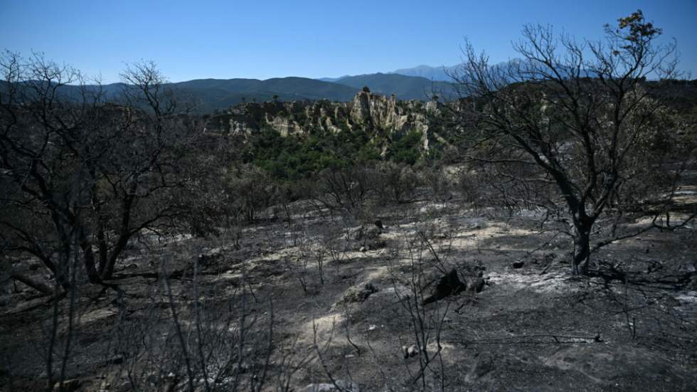 Dans les Pyrénées-Orientales, l'incendie n'est "pas fixé" mais "la situation s'améliore"