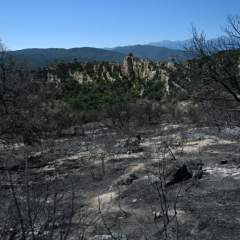 Dans les Pyrénées-Orientales, l'incendie n'est "pas fixé" mais "la situation s'améliore"