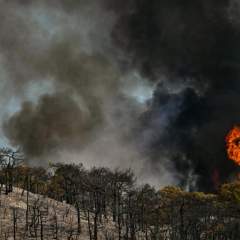 Un nouvel épisode caniculaire "sévère et durable" en France, journée à risque d'incendie