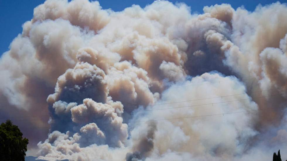 Un feu de forêt fait au moins 12 morts près d'Almeria, dans le sud de l'Espagne