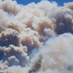 Un feu de forêt fait au moins 12 morts près d'Almeria, dans le sud de l'Espagne