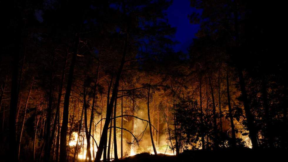 Île-de-France : un incendie, d'une "ampleur exceptionnelle", frappe la forêt de Fontainebleau
