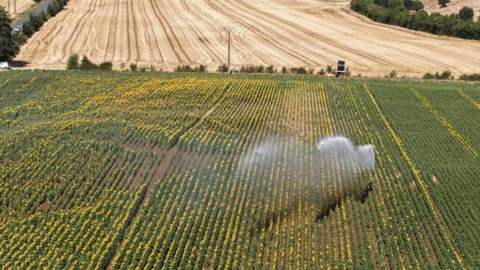 Sécheresse et canicules : "C'est au niveau des territoires que les solutions pourront émerger"