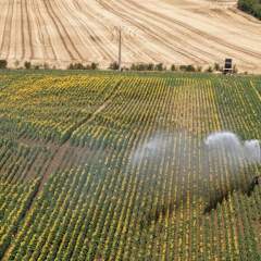 Sécheresse et canicules : "C'est au niveau des territoires que les solutions pourront émerger"