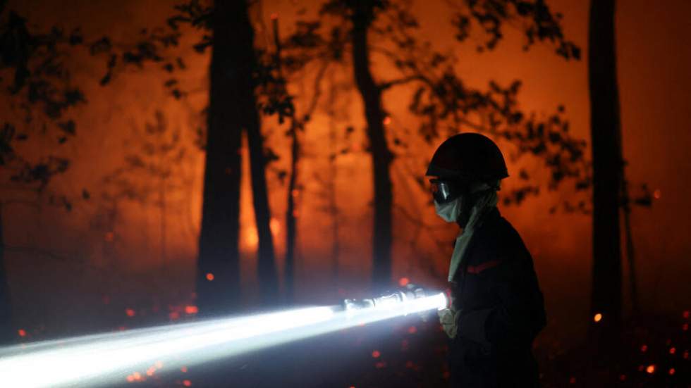 Incendies en forêt de Fontainebleau : plus de 1 900 hectares sont partis en fumée Incendies en forêt de Fontainebleau : plus de 1 900 hectares sont partis en fumée