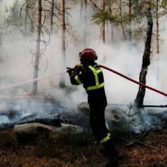 Incendies à Fontainebleau : Emmanuel Macron attendu sur le front des flammes