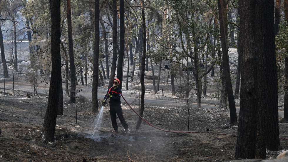 Incendie à Fontainebleau : le poumon vert de Paris calciné Incendie à Fontainebleau : le poumon vert de Paris calciné