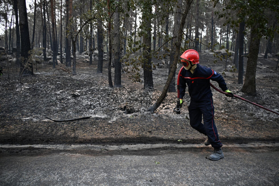 Incendie à Fontainebleau : le poumon vert de Paris calciné Incendie à Fontainebleau : le poumon vert de Paris calciné