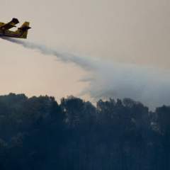 Sécheresse en France : plusieurs incendies ravagent le Var et la Corse