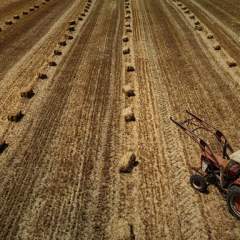 L'Assemblée nationale adopte la loi d'urgence agricole dans la douleur