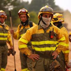 Madrid, Calabre, Sicile, Var, Gironde... l'Europe du Sud reste en proie aux incendies