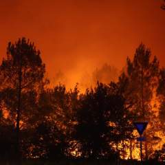 Incendie en Gironde : le feu est "contenu" après avoir brûlé 3 400 hectares, plus de 20 000 évacués