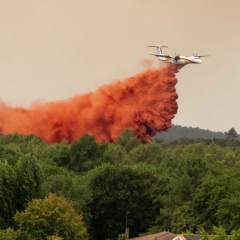 Incendies en Europe : la France appelle l'UE à la rescousse, l'Espagne déclare l'état d'urgence