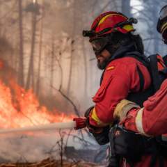 L'Espagne toujours en proie aux flammes, l'état d'urgence décrété près de Madrid