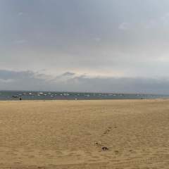 À Arcachon, face aux incendies, un ballet de vacanciers et d'évacués en quête d'une "respiration"