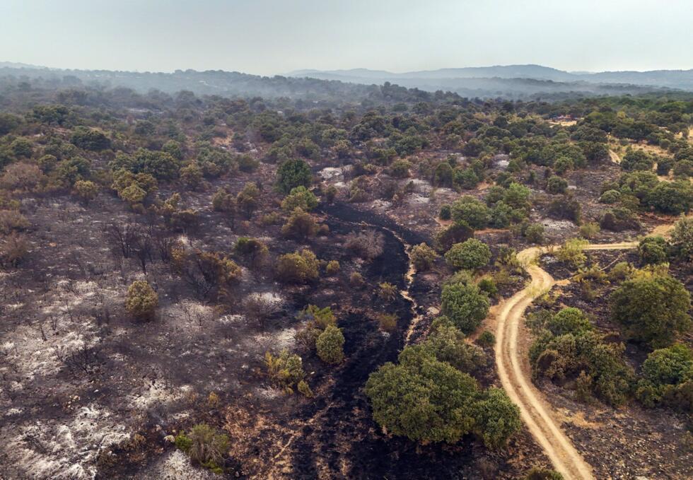 Incendies : des centaines de milliers d'évacués en France et en Espagne, les secours renforcés