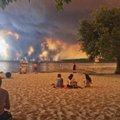 Incendies en Europe, manifestations en Inde et Tour de France : la semaine en images