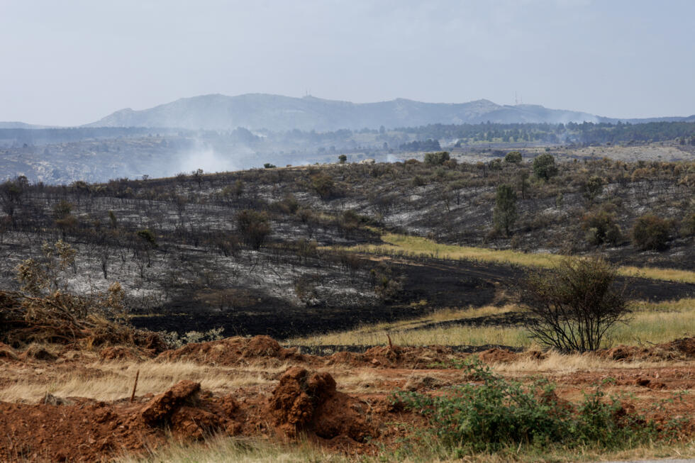 Incendies en Europe, manifestations en Inde et Tour de France : la semaine en images