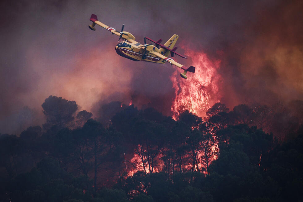Incendies en Europe, manifestations en Inde et Tour de France : la semaine en images