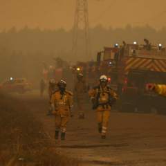 Plus de 325 000 réfugiés du feu en France et Espagne, l'incendie de Gironde pourrait s'aggraver