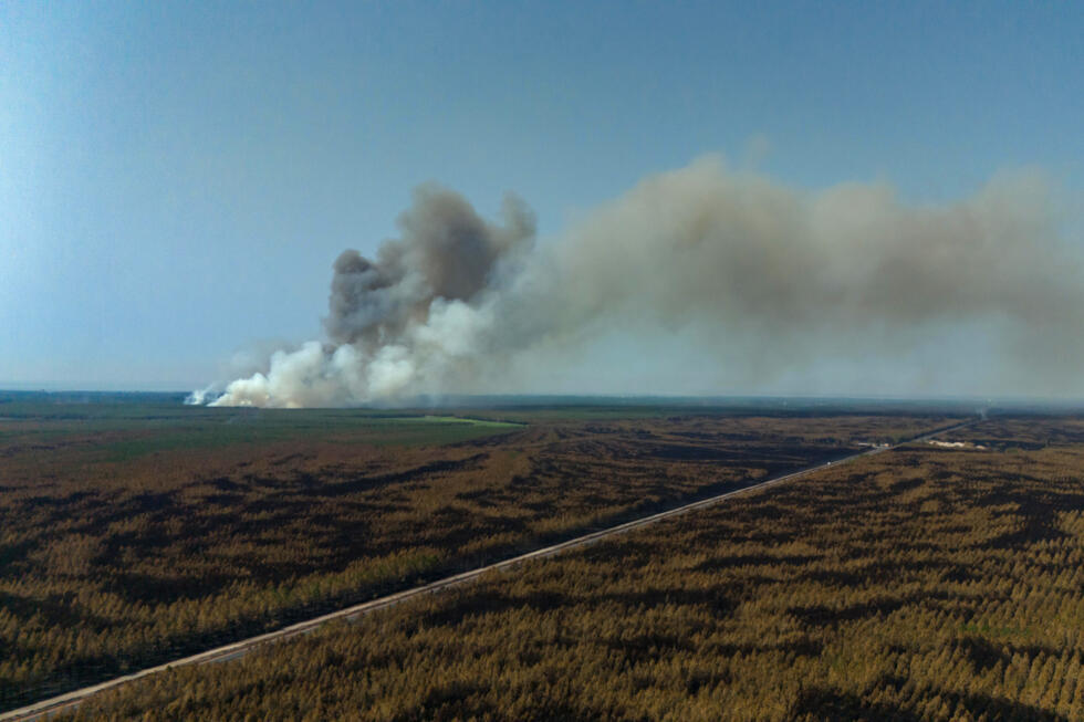 Le mégafeu de Gironde n'a "pas progressé", les autorités sont optimistes