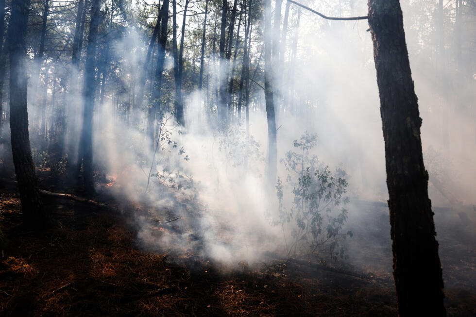 Le mégafeu de Gironde n'a "pas progressé", les autorités sont optimistes