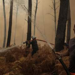 Le mégafeu de Gironde n'a "pas progressé", les autorités sont optimistes