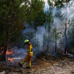 Incendies : accalmie espérée en France et en Espagne, de nouveaux feux de forêt gagnent l'Europe